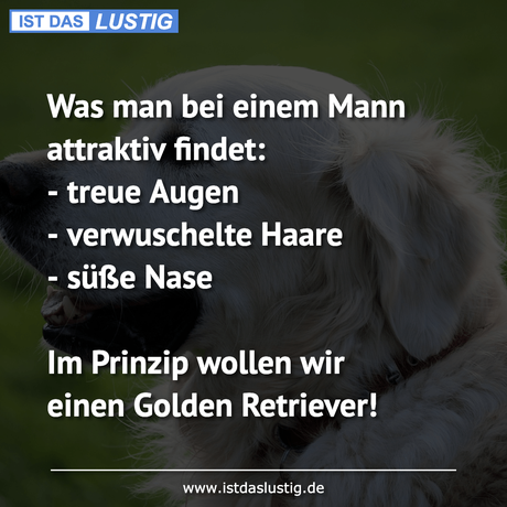 Lustiger BilderSpruch - Was man bei einem Mann attraktiv findet: -...