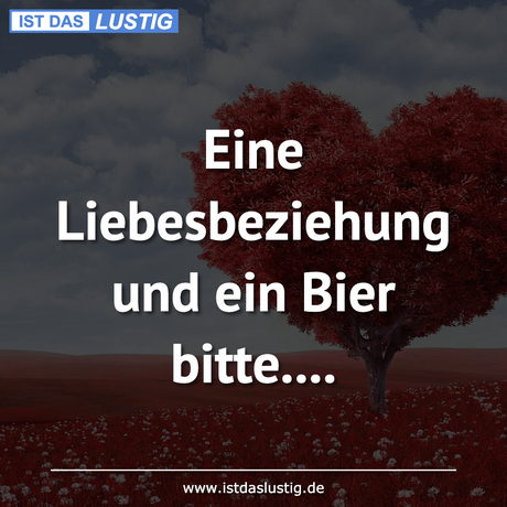 Lustiger BilderSpruch - Eine Liebesbeziehung und ein Bier bitte....