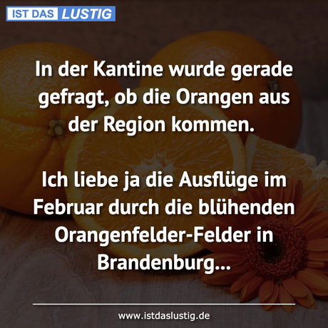 Lustiger BilderSpruch - In der Kantine wurde gerade gefragt, ob die...