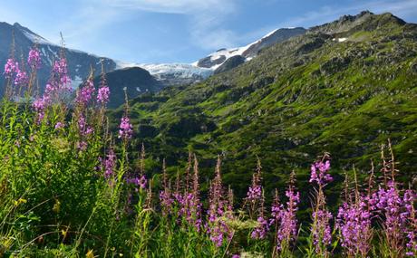 Fischwenger Reisen – Tag 3 – Sarner See, Sustenpass