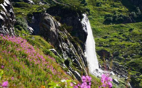 Fischwenger Reisen – Tag 3 – Sarner See, Sustenpass