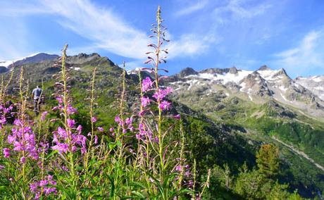 Fischwenger Reisen – Tag 3 – Sarner See, Sustenpass