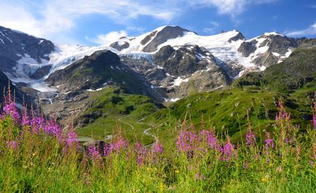 Fischwenger Reisen – Tag 3 – Sarner See, Sustenpass