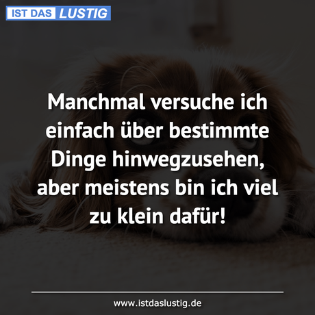 Lustiger BilderSpruch - Manchmal versuche ich einfach über bestimmte...