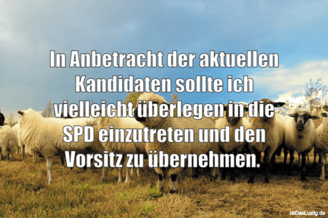Lustiger BilderSpruch - In Anbetracht der aktuellen Kandidaten sollte...