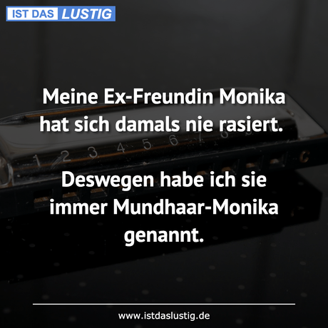 Lustiger BilderSpruch - Meine Ex-Freundin Monika hat sich damals nie...