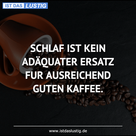 Lustiger BilderSpruch - SCHLAF IST KEIN ADÄQUATER ERSATZ FUR...
