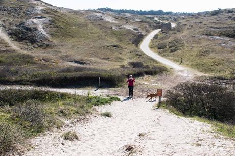 Texel – unterwegs in den Dünen bei Paal 17
