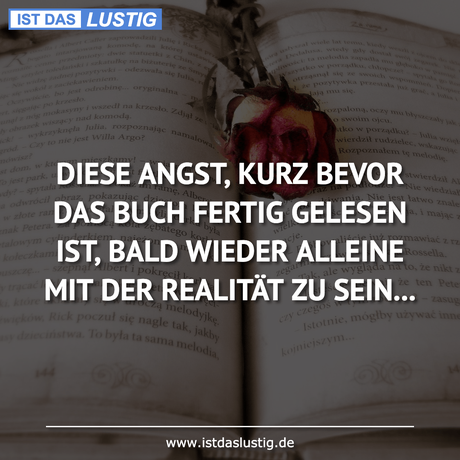 Lustiger BilderSpruch - DIESE ANGST, KURZ BEVOR DAS BUCH FERTIG GELESEN...