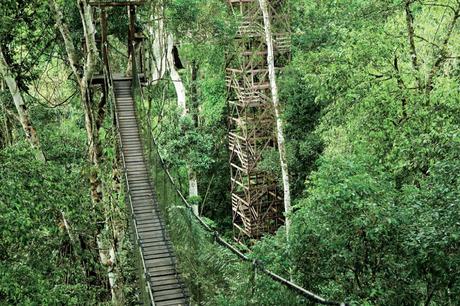 Inkaterra Regenwald Peru Amazonas