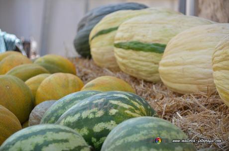 Fira del Meló 2019 in Vilafranca de Bonany