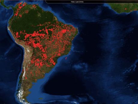 Der Amazonas-Regenwald brennt. Was es für uns und das Klima bedeutet.