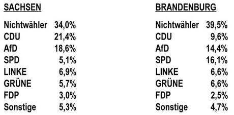 Das ehrliche Wahlergebnis, Sachsen und Brandenburg