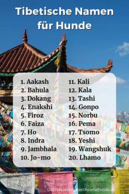 20 tibetische Namen für Hunde mit Bedeutung