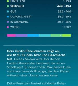 Fitbit Cardio Fitness Niveau