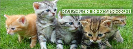 Der Katzen.onlinekongress.eu - anmelden und mit gestalten