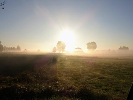 Spruch zum Wochenende