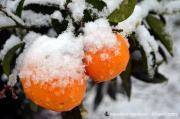 Temperaturen werden fallen und es kann schneien