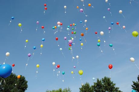 Niedersachsens Grüne wollen auch ein Luftballon-Verbot