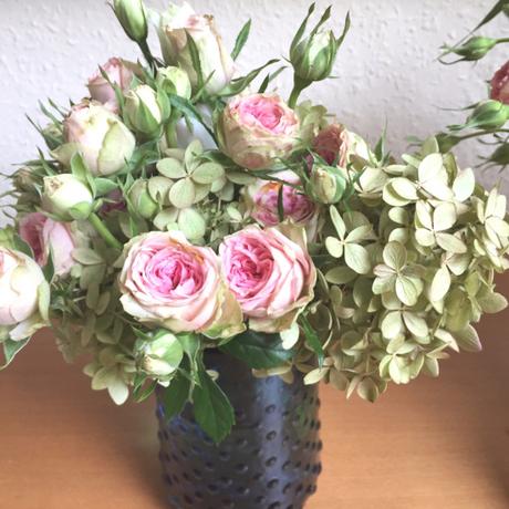 Friday- Flowerday – oder – Kleine Blumennachlese