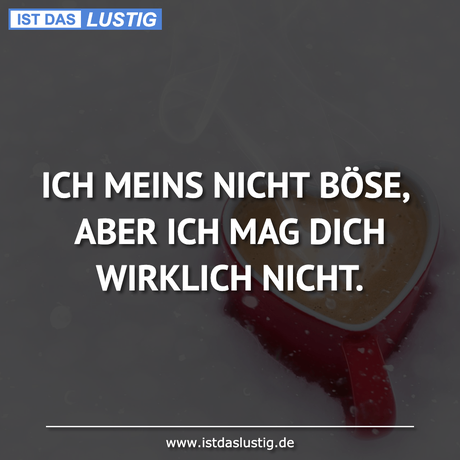Lustiger BilderSpruch - ICH MEINS NICHT BÖSE, ABER ICH MAG DICH...