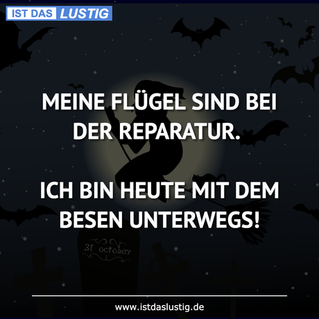 Lustiger BilderSpruch - MEINE FLÜGEL SIND BEI DER REPARATUR.  ICH BIN...