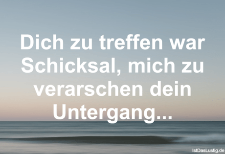 Lustiger BilderSpruch - Dich zu treffen war Schicksal, mich zu...