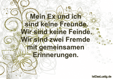 Lustiger BilderSpruch - Mein Ex und ich  sind keine Freunde. Wir sind...