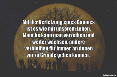 Lustiger BilderSpruch - Mit der Verletzung eines Baumes ist es wie mit...