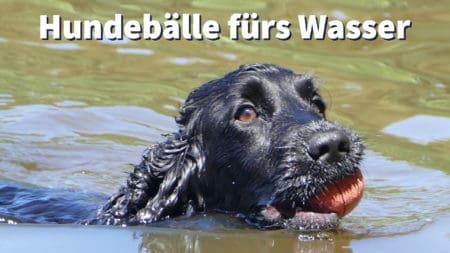 Welcher Hundeball schwimmt im Wasser?