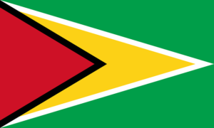 Flagge von Guyana – Flaggen aller Länder