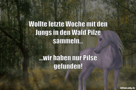 Lustiger BilderSpruch - Wollte letzte Woche mit den Jungs in den Wald...