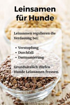 Grundsätzlich dürfen Hunde Leinsamen fressen. Sie regulieren die Verdauung bei Verstopfung, Durchfall und Darmsanierung.