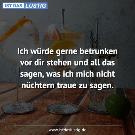 Lustiger BilderSpruch - Ich würde gerne betrunken vor dir stehen und...