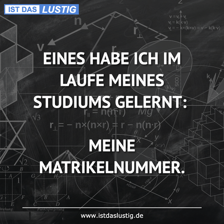 Lustiger BilderSpruch - EINES HABE ICH IM LAUFE MEINES STUDIUMS...