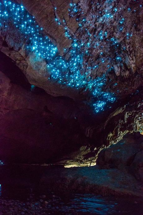 Biolumineszenz weltweit – Hier leuchtet die Natur