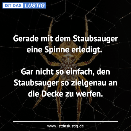 Lustiger BilderSpruch - Gerade mit dem Staubsauger eine Spinne...