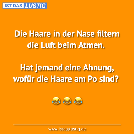 Lustiger BilderSpruch - Die Haare in der Nase filtern die Luft beim...