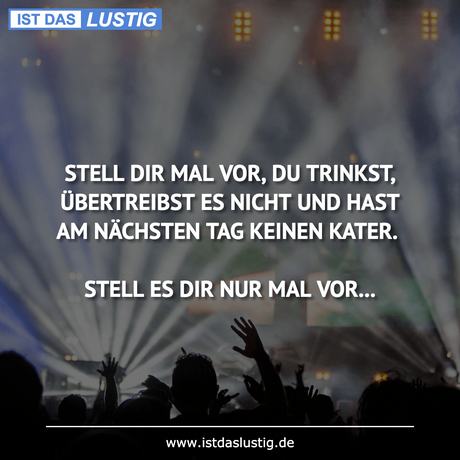 Lustiger BilderSpruch - STELL DIR MAL VOR, DU TRINKST, ÜBERTREIBST ES...