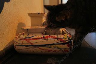 Katzen lieben fließendes Wasser und der richtige Trinkbrunnen fördert das Trinken #Miaustore #Nierenkrankheit #Püpschen