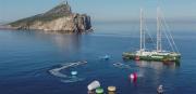 Greenpeace bringt Plastikmüll nach Mallorca