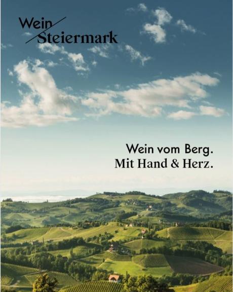 Wein Steiermark – neuer Auftritt der steirischen Winzer