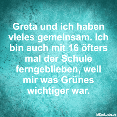 Lustiger BilderSpruch - Greta und ich haben vieles gemeinsam. Ich bin...