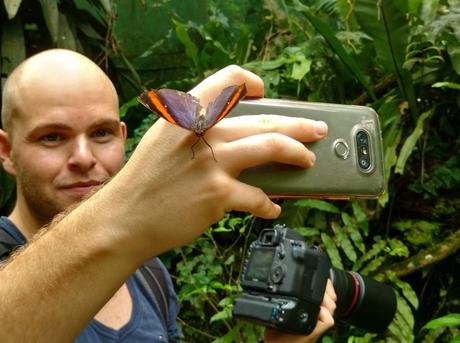 Der Kuala Lumpur Butterfly Park