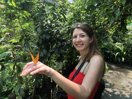 Der Kuala Lumpur Butterfly Park