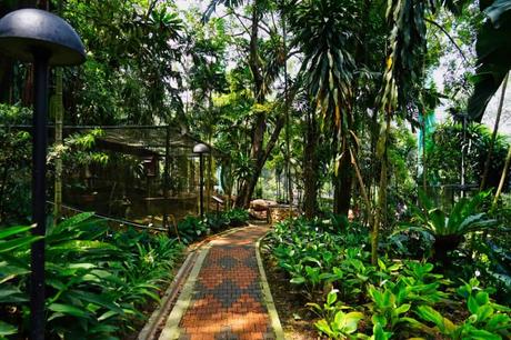 Vogelpark Kuala Lumpur Weg