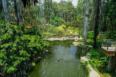 Zone 4 Vogelpark Kuala Lumpur