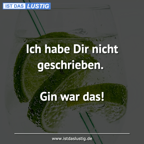 Lustiger BilderSpruch - Ich habe Dir nicht geschrieben.  Gin war das!