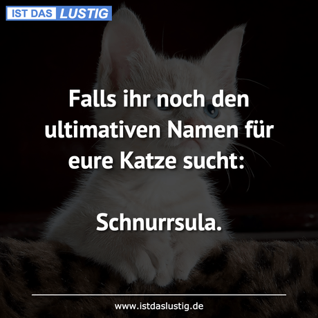 Lustiger BilderSpruch - Falls ihr noch den ultimativen Namen für eure...