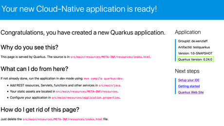 Quicktest: Gestern wurde Quarkus 0.24.0 released – „Container First“